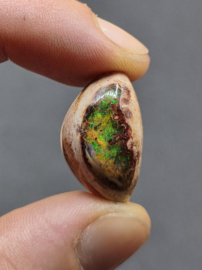 Feuer Opal Mexiko Cantera AAA Sammlerstein Mineralien Kristalle Kollektion Cabochon natürlich Heilstein Rarität Muster Selten Bunt Traumhaft