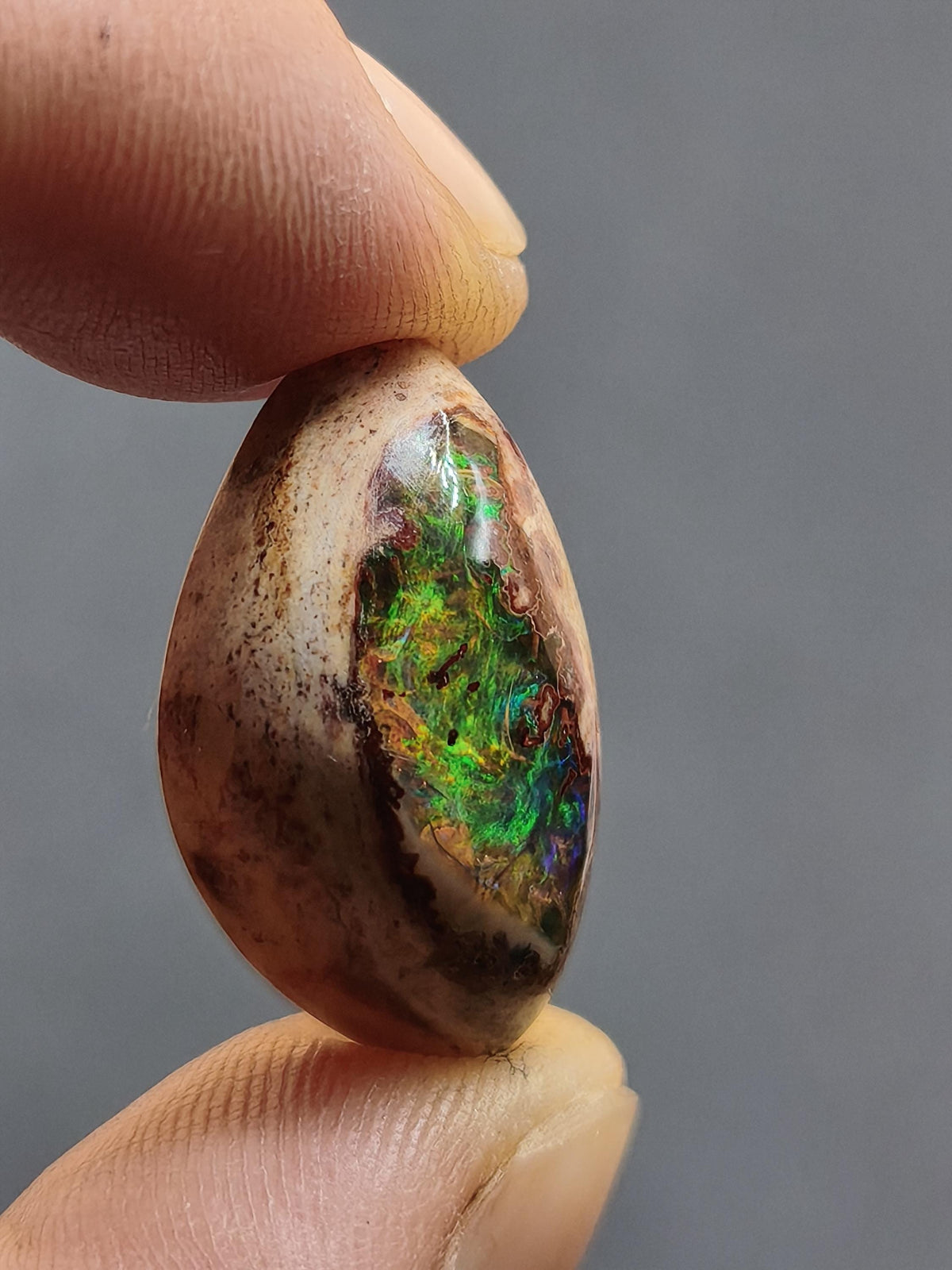 Feuer Opal Mexiko Cantera AAA Sammlerstein Mineralien Kristalle Kollektion Cabochon natürlich Heilstein Rarität Muster Selten Bunt Traumhaft