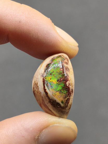 Feuer Opal Mexiko Cantera AAA Sammlerstein Mineralien Kristalle Kollektion Cabochon natürlich Heilstein Rarität Muster Selten Bunt Traumhaft