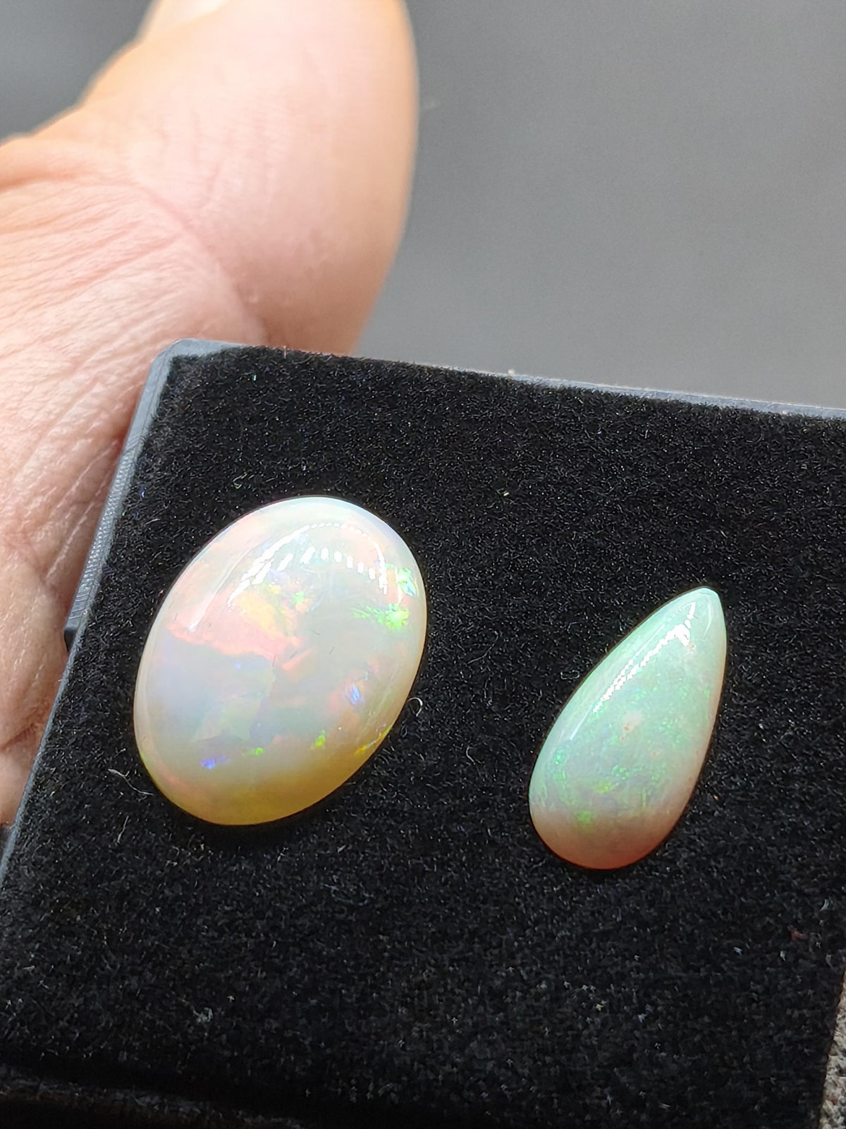 2x Opal Winton AAA bunt Regenbogen Sammlerstein Mineralien Kristalle Cabochon natürlich Heilstein Rarität Muster Australien