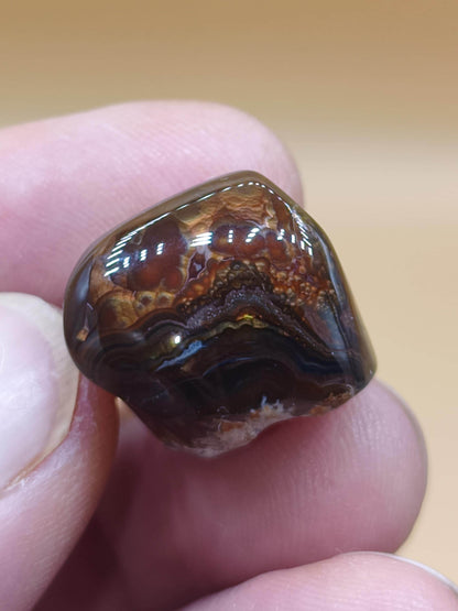 Feuer Acha Mexiko opalisierend AAA Sammlerstein Mineralien Kristalle Kollektion natürlich Heilstein Rarität Muster Selten