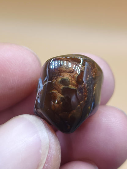 Feuer Acha Mexiko opalisierend AAA Sammlerstein Mineralien Kristalle Kollektion natürlich Heilstein Rarität Muster Selten