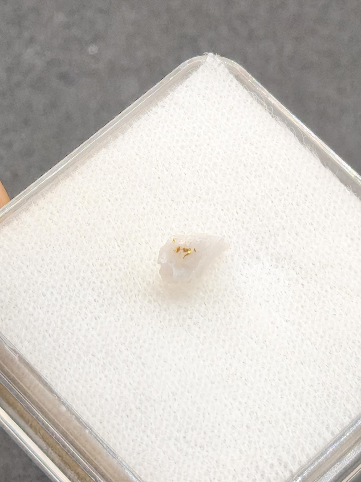 Gold auf Quarz Matrix Jilove (Tschechien) echt Kristall natürlich Sammler Mineral selten