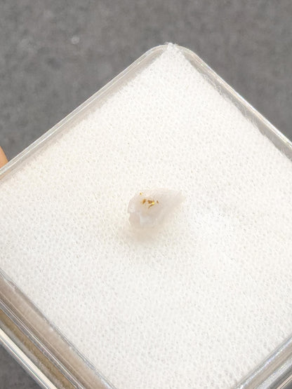 Gold auf Quarz Matrix Jilove (Tschechien) echt Kristall natürlich Sammler Mineral selten