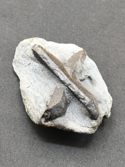 XL  STAUROLITE Kreuzstein X Roh Kristall Stufe Sammler Deko groß Energie Heilstein Schutz  Geschenk Haus Wohnung