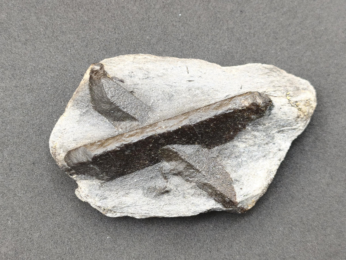 XL  STAUROLITE Kreuzstein X Roh Kristall Stufe Sammler Deko groß Energie Heilstein Schutz  Geschenk Haus Wohnung