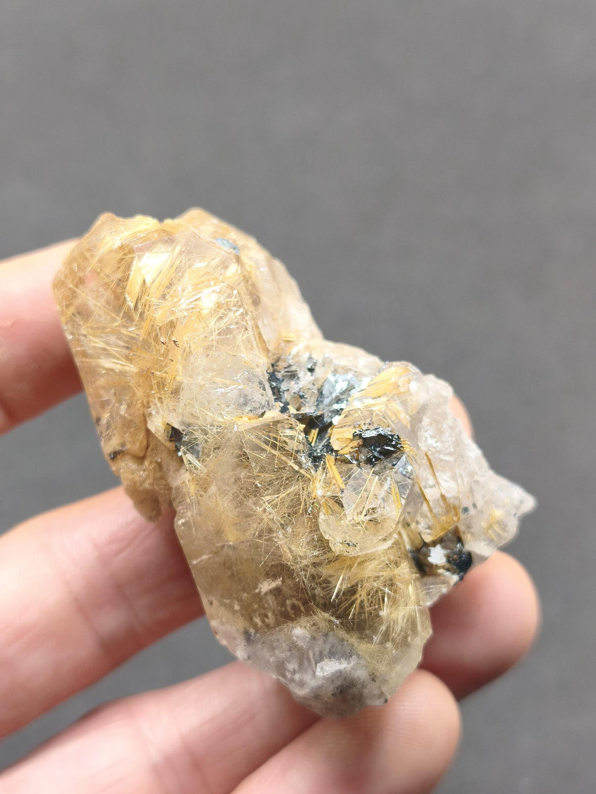 Rutilquarz gold roh Sammler Stufe Kristall Rarität ~ Edelstein Deko Heilstein Mineral Kollektion Energie Natur besonders Geschenk