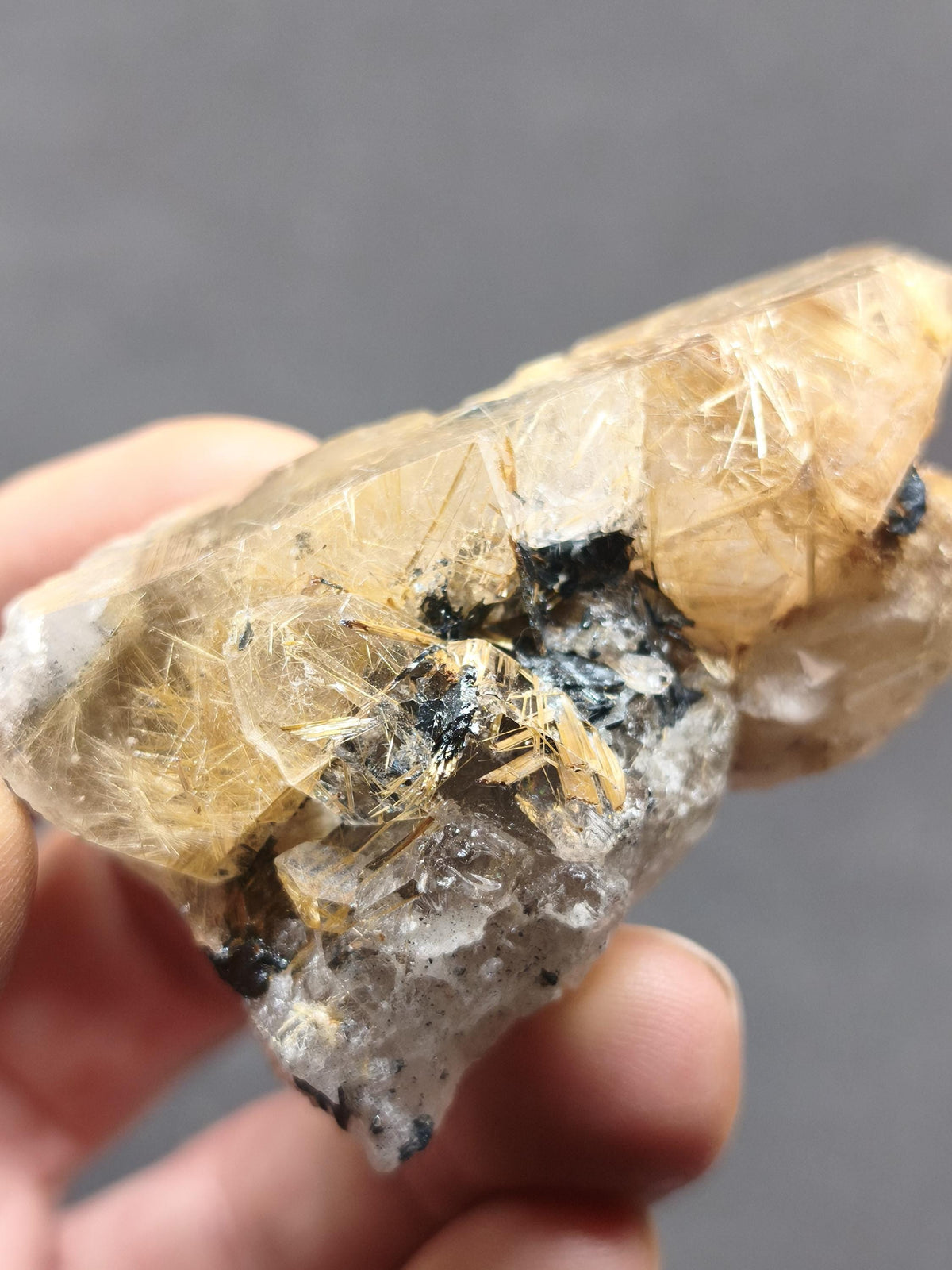 Rutilquarz gold roh Sammler Stufe Kristall Rarität ~ Edelstein Deko Heilstein Mineral Kollektion Energie Natur besonders Geschenk