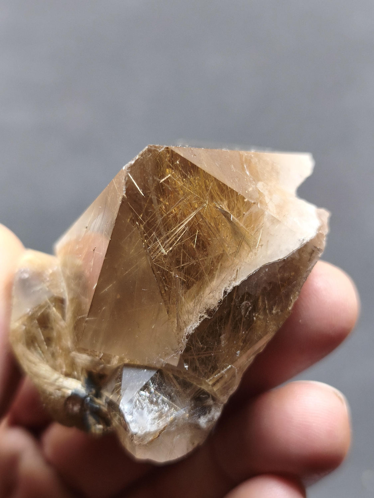 Rutilquarz gold roh Sammler Stufe Pyramide Kristall Rarität ~ Edelstein Deko Heilstein Mineral Kollektion Energie Natur besonders Geschenk