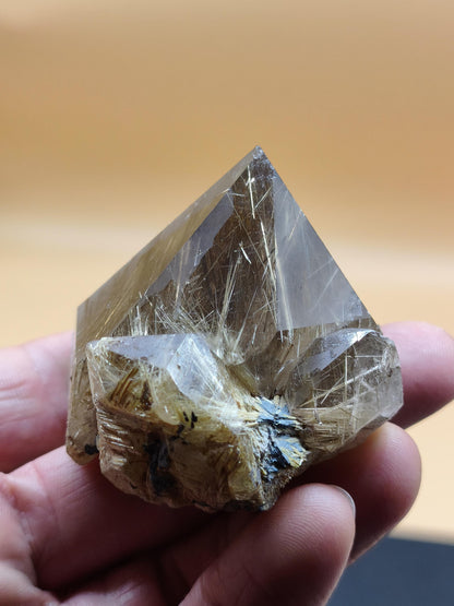 Rutilquarz gold roh Sammler Stufe Pyramide Kristall Rarität ~ Edelstein Deko Heilstein Mineral Kollektion Energie Natur besonders Geschenk