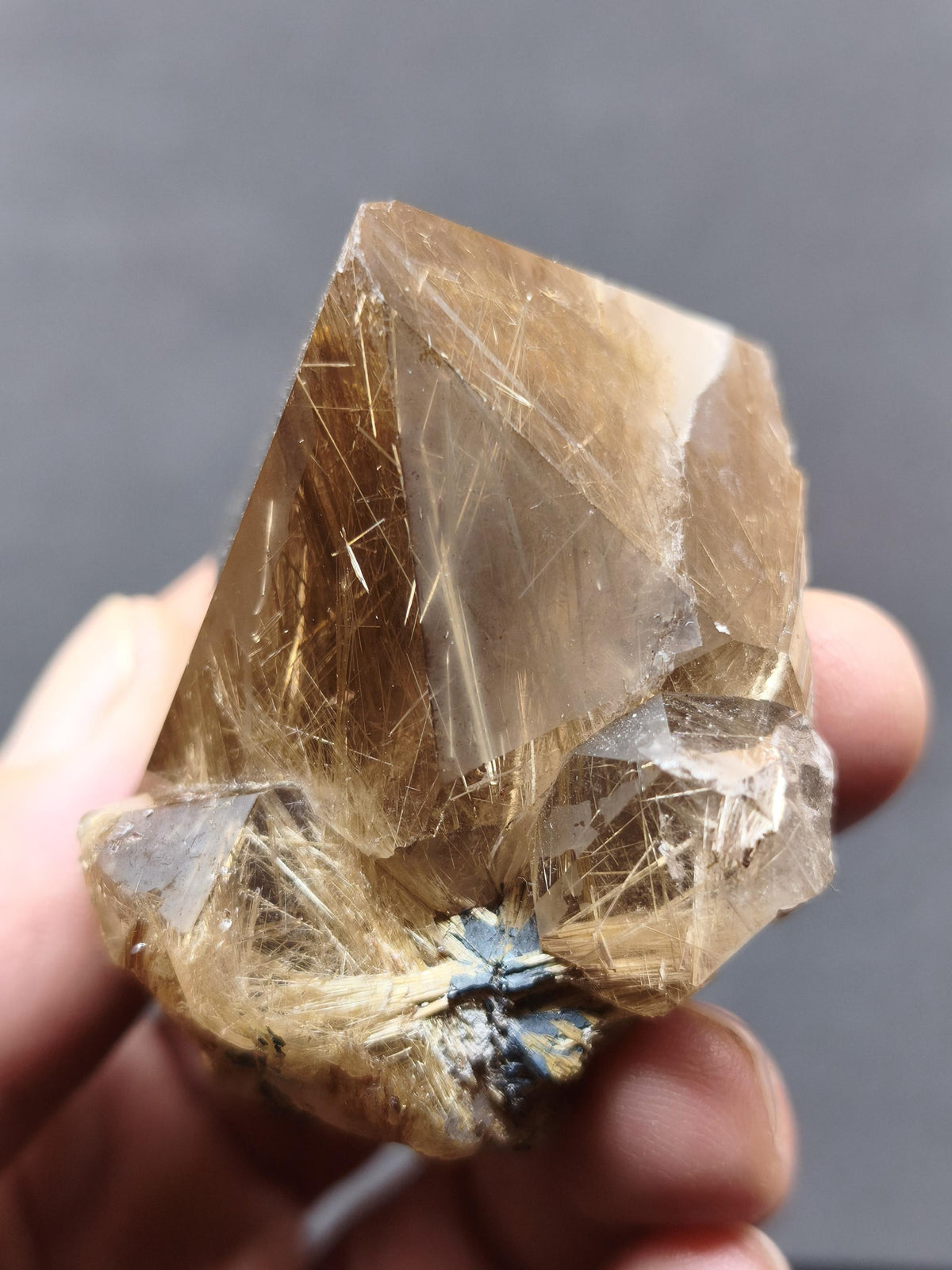 Rutilquarz gold roh Sammler Stufe Pyramide Kristall Rarität ~ Edelstein Deko Heilstein Mineral Kollektion Energie Natur besonders Geschenk