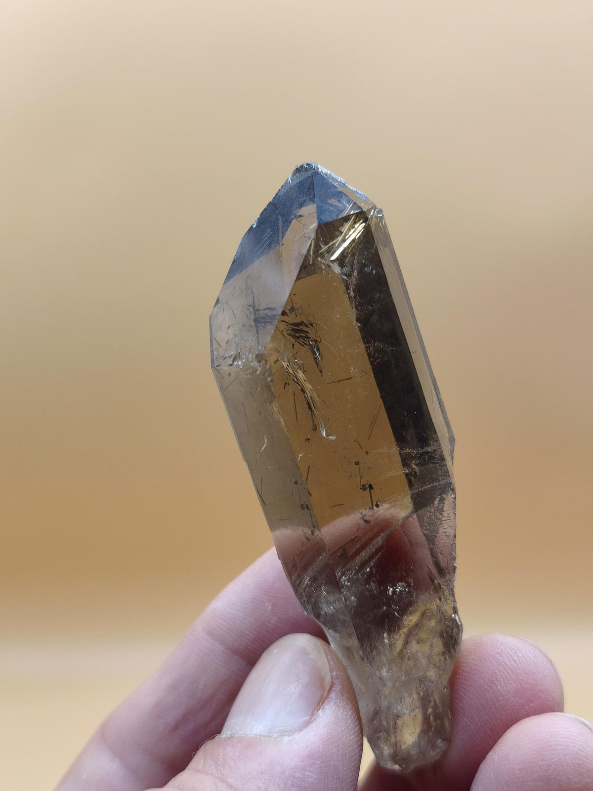Rauchquarz mit Rutil gold roh Sammler Stufe Kristall Rarität ~ Edelstein Deko Heilstein Mineral Kollektion Energie Natur