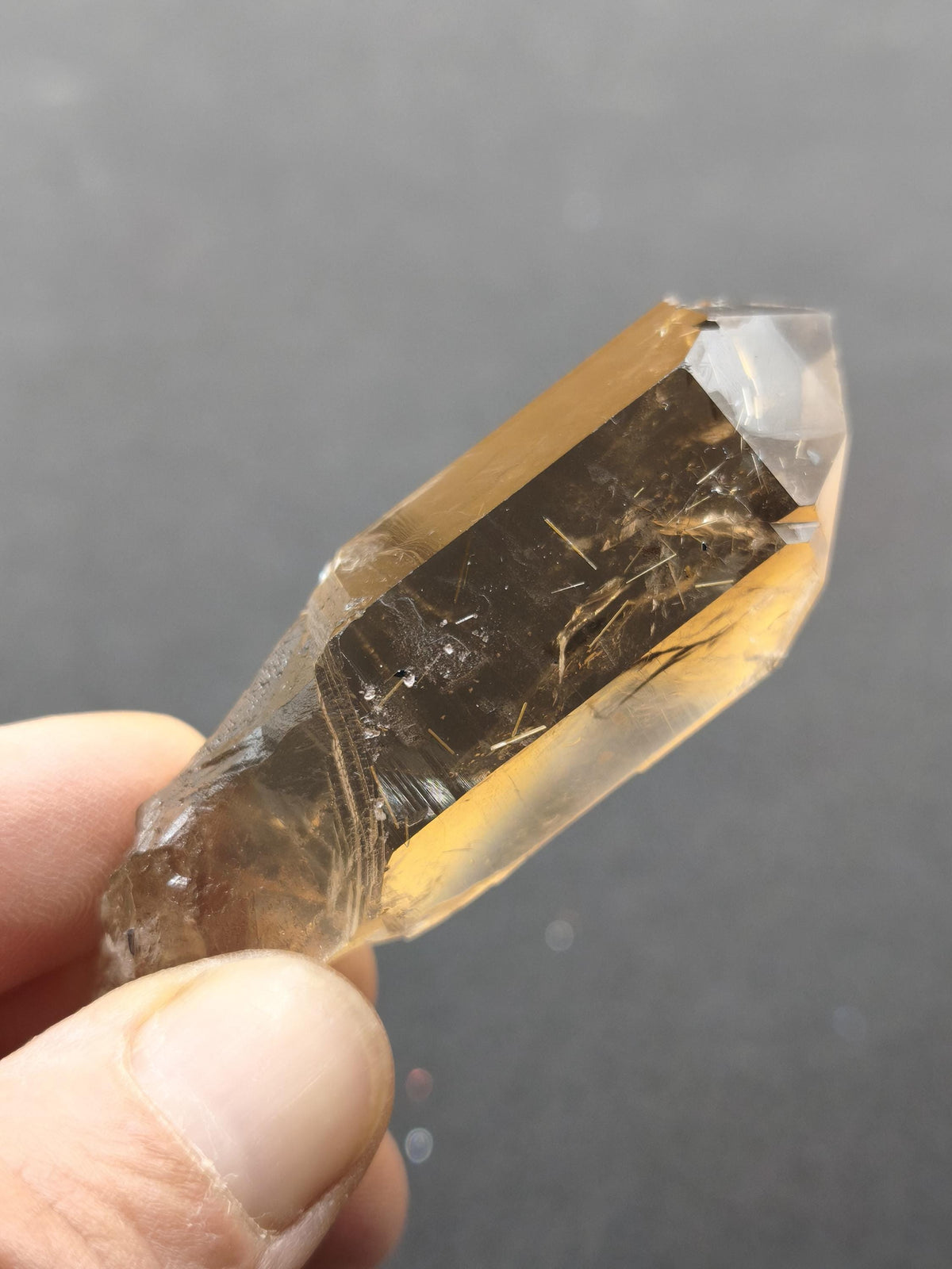 Rauchquarz mit Rutil gold roh Sammler Stufe Kristall Rarität ~ Edelstein Deko Heilstein Mineral Kollektion Energie Natur