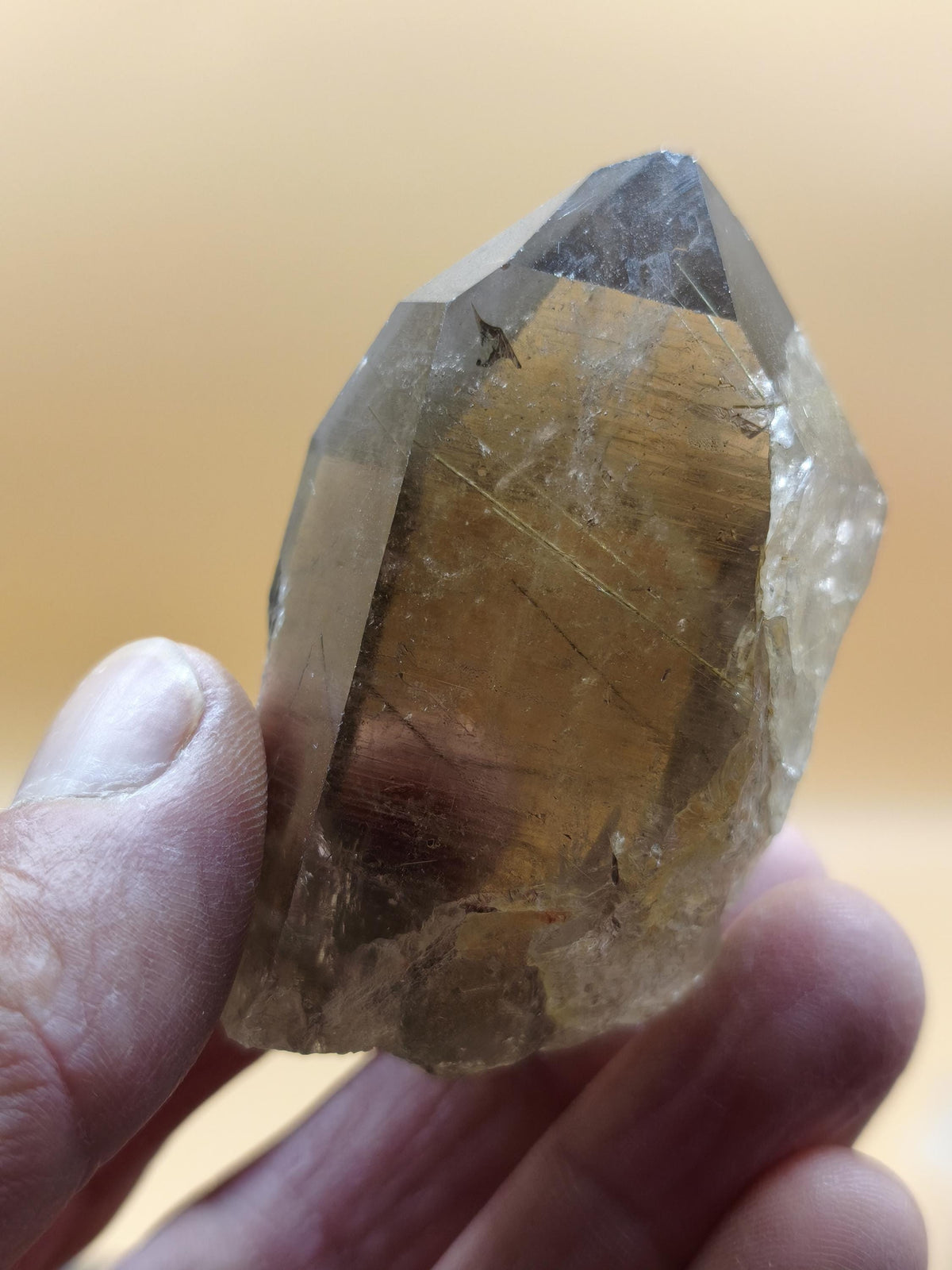 Rauchquarz mit Rutil gold roh Sammler Stufe Kristall Rarität ~ Edelstein Deko Heilstein Mineral Kollektion Energie Natur