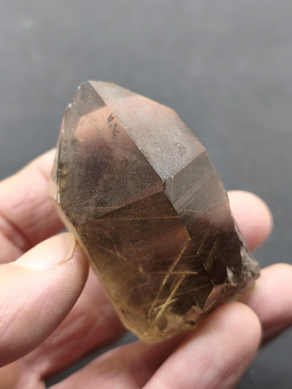 Rauchquarz mit Rutil gold roh Sammler Stufe Kristall Rarität ~ Edelstein Deko Heilstein Mineral Kollektion Energie Natur