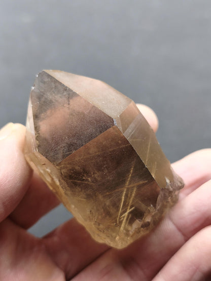 Rauchquarz mit Rutil gold roh Sammler Stufe Kristall Rarität ~ Edelstein Deko Heilstein Mineral Kollektion Energie Natur