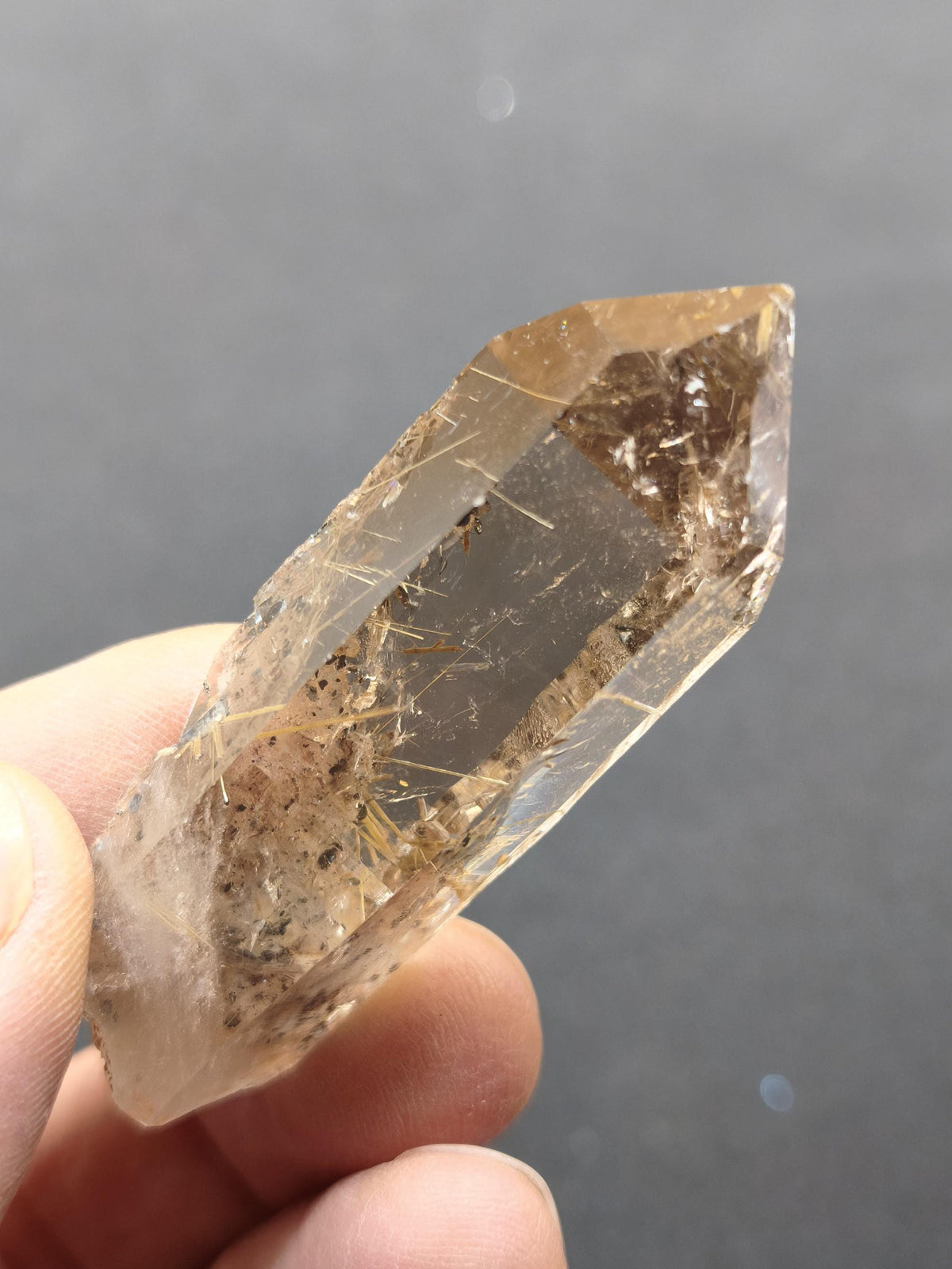 Rauchquarz mit Rutil gold roh Sammler Stufe Kristall Rarität ~ Edelstein Deko Heilstein Mineral Kollektion Energie Natur