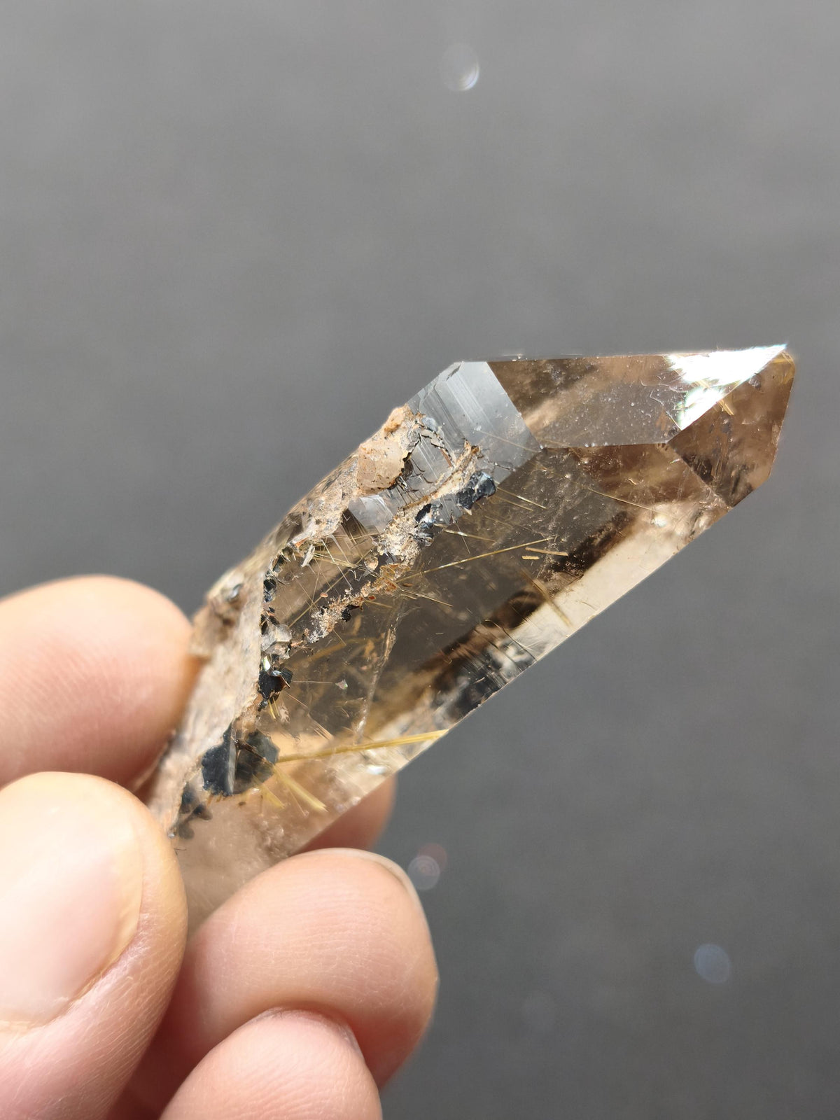 Rauchquarz mit Rutil gold roh Sammler Stufe Kristall Rarität ~ Edelstein Deko Heilstein Mineral Kollektion Energie Natur