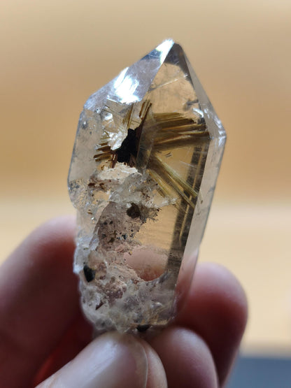 Rauchquarz mit Rutil gold roh Sammler Stufe Kristall Rarität ~ Edelstein Deko Heilstein Mineral Kollektion Energie Natur