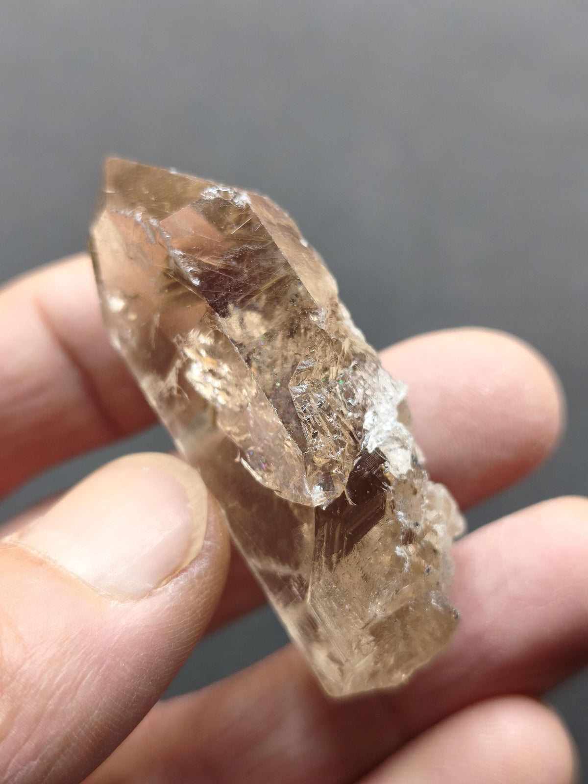 Rauchquarz mit Rutil gold roh Sammler Stufe Kristall Rarität ~ Edelstein Deko Heilstein Mineral Kollektion Energie Natur