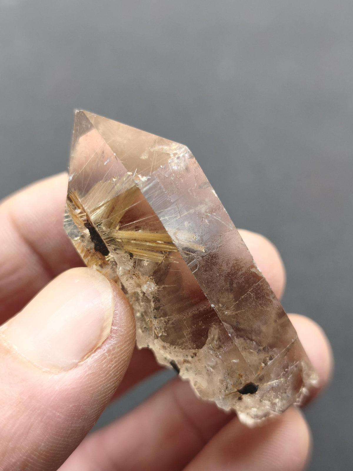Rauchquarz mit Rutil gold roh Sammler Stufe Kristall Rarität ~ Edelstein Deko Heilstein Mineral Kollektion Energie Natur