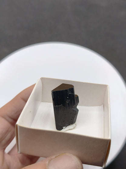 Schwarze Turmalin (Schörl) A Qualität Stufe roh Kristall Sammler Deko Geschenk Mann Frau Heilsteine