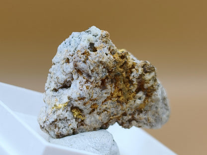 Gediegenes Gold auf Matrix Kristallin – Natürliches Gold aus Zlaté Hory, Tschechien echt natürlich Sammler Mineral selten