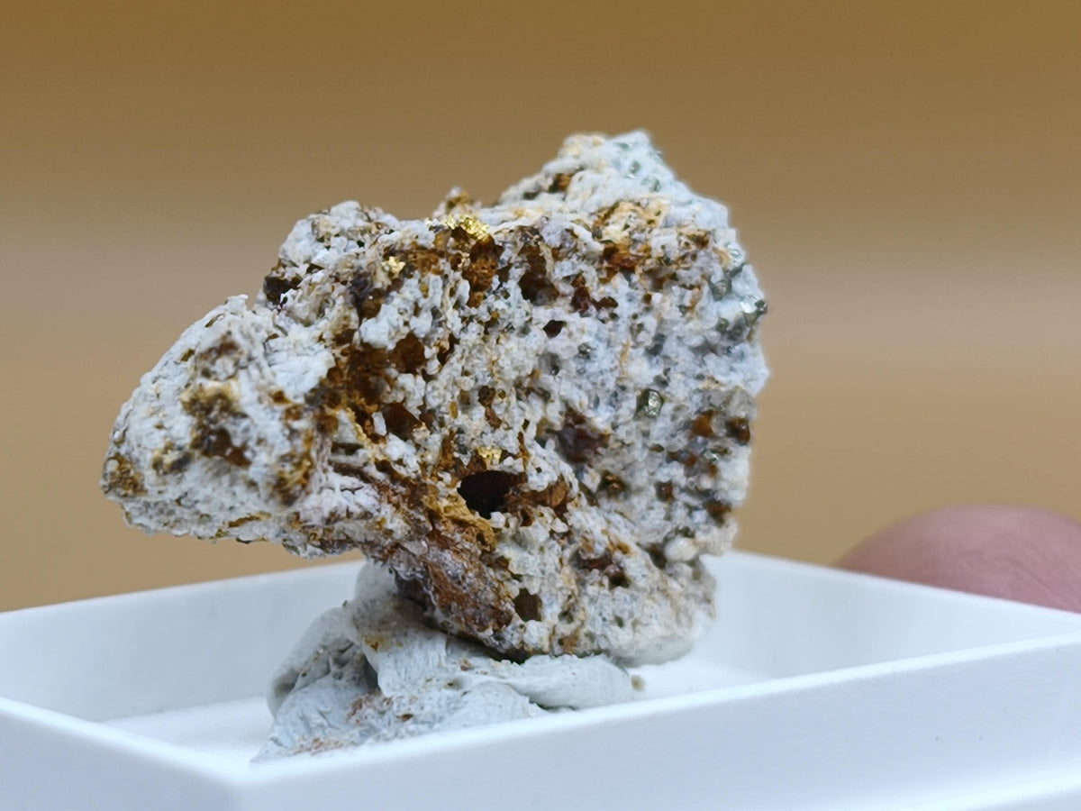 Gediegenes Gold auf Matrix Kristallin – Natürliches Gold aus Zlaté Hory, Tschechien echt natürlich Sammler Mineral selten