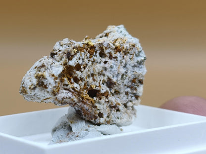 Gediegenes Gold auf Matrix Kristallin – Natürliches Gold aus Zlaté Hory, Tschechien echt natürlich Sammler Mineral selten