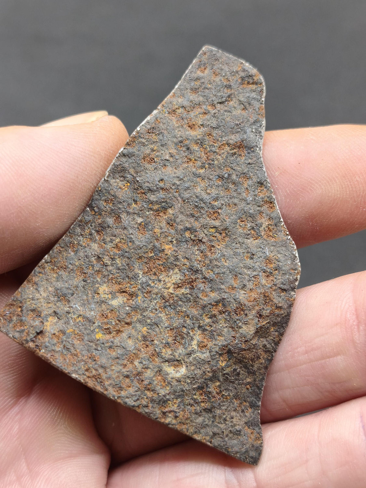 Gibeon Meteorit Namibia | Eisenmeteorit mit Widmanstätten-Struktur | Geätzter Meteoriten-Anschnitt Sammler Mineralien Kristalle Selten
