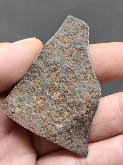Gibeon Meteorit Namibia | Eisenmeteorit mit Widmanstätten-Struktur | Geätzter Meteoriten-Anschnitt Sammler Mineralien Kristalle Selten