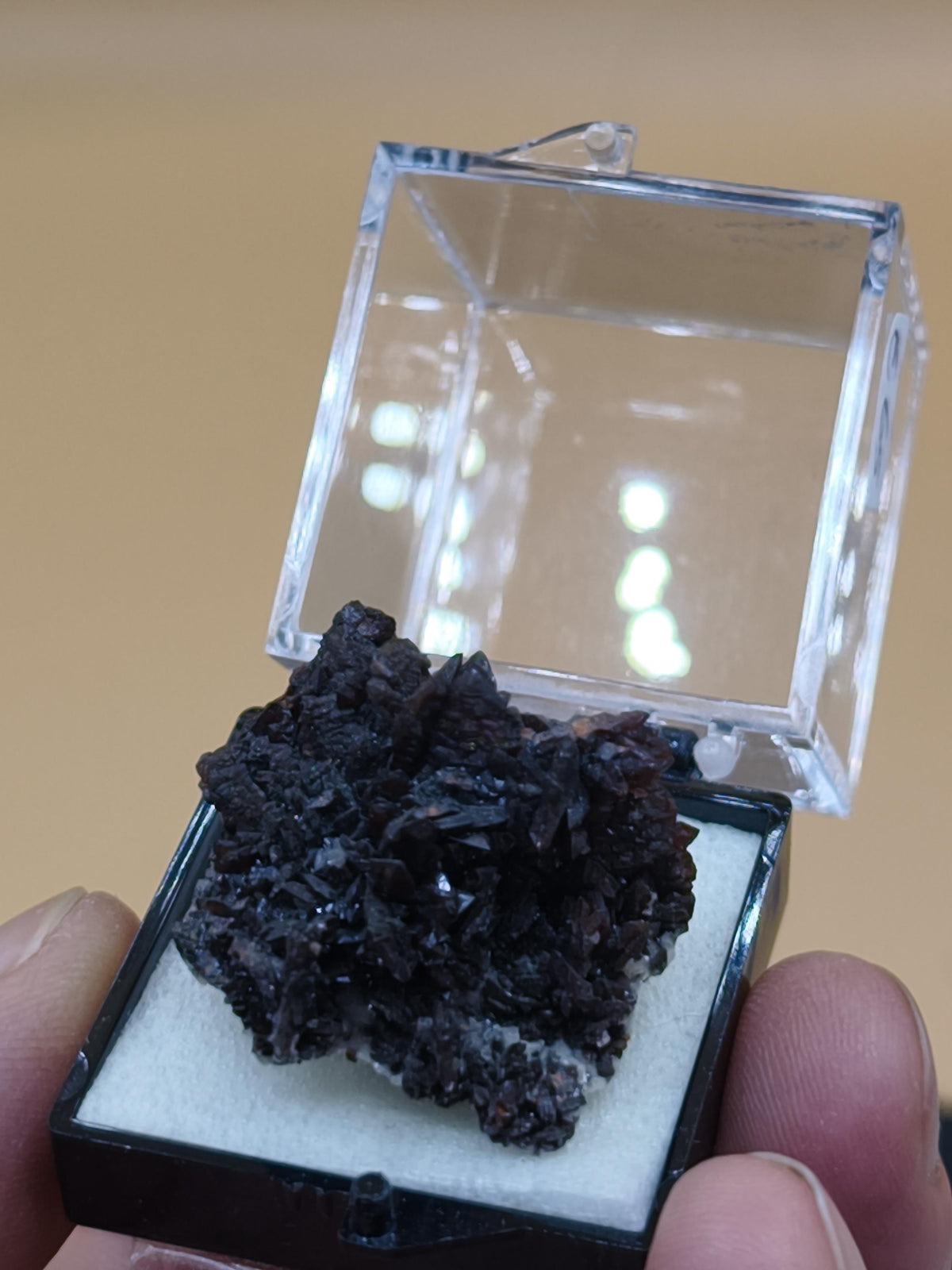 Descloizit Kristallstufe – Berg Aukas, Namibia | Dunkelrotbraune Kristalle Rarität Sammler roh Stufe Edelstein Deko Mineralien