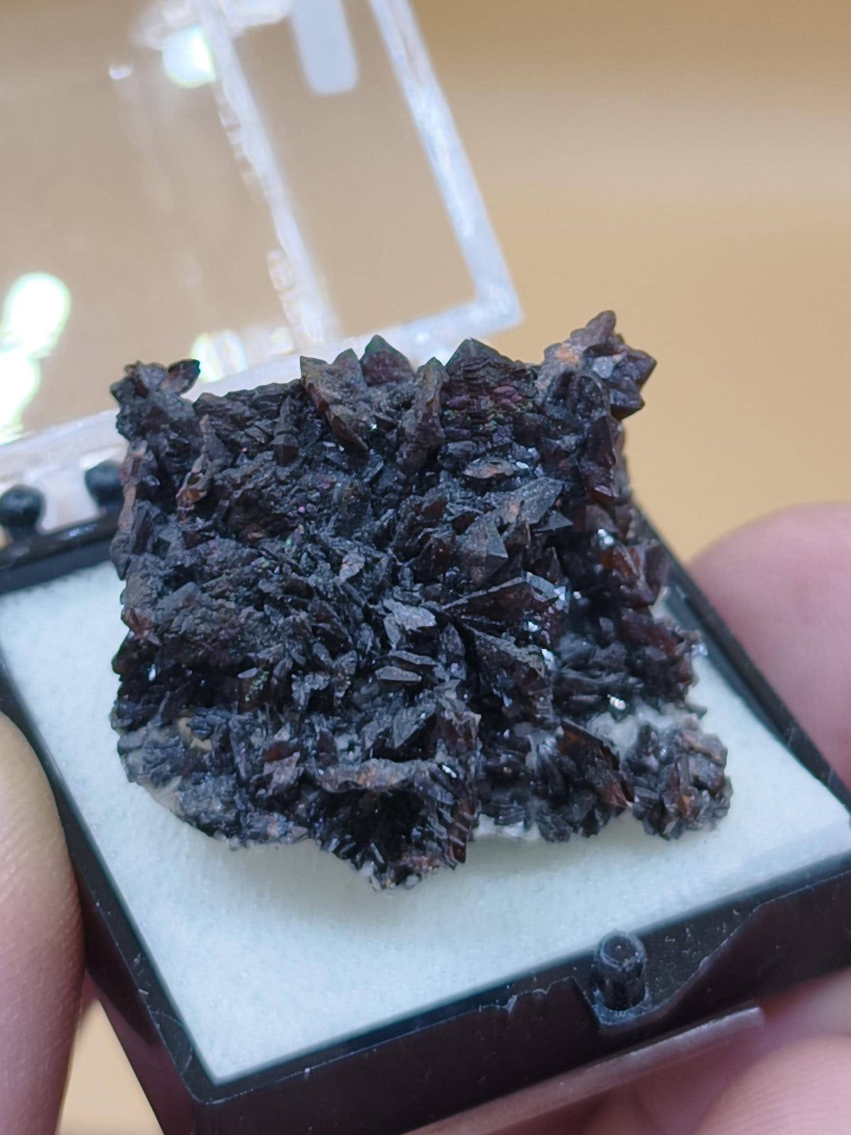 Descloizit Kristallstufe – Berg Aukas, Namibia | Dunkelrotbraune Kristalle Rarität Sammler roh Stufe Edelstein Deko Mineralien