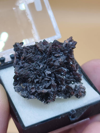 Descloizit Kristallstufe – Berg Aukas, Namibia | Dunkelrotbraune Kristalle Rarität Sammler roh Stufe Edelstein Deko Mineralien
