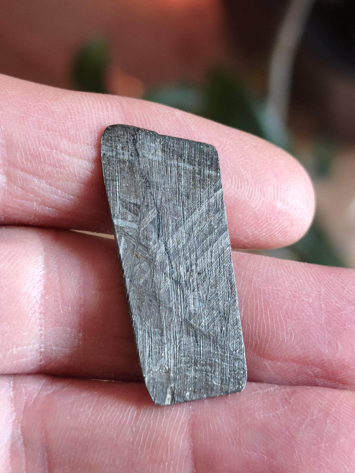 Gibeon Meteorit Namibia | Eisenmeteorit mit Widmanstätten-Struktur | Geätzter Meteoriten-Anschnitt Sammler Mineralien Kristalle Selten