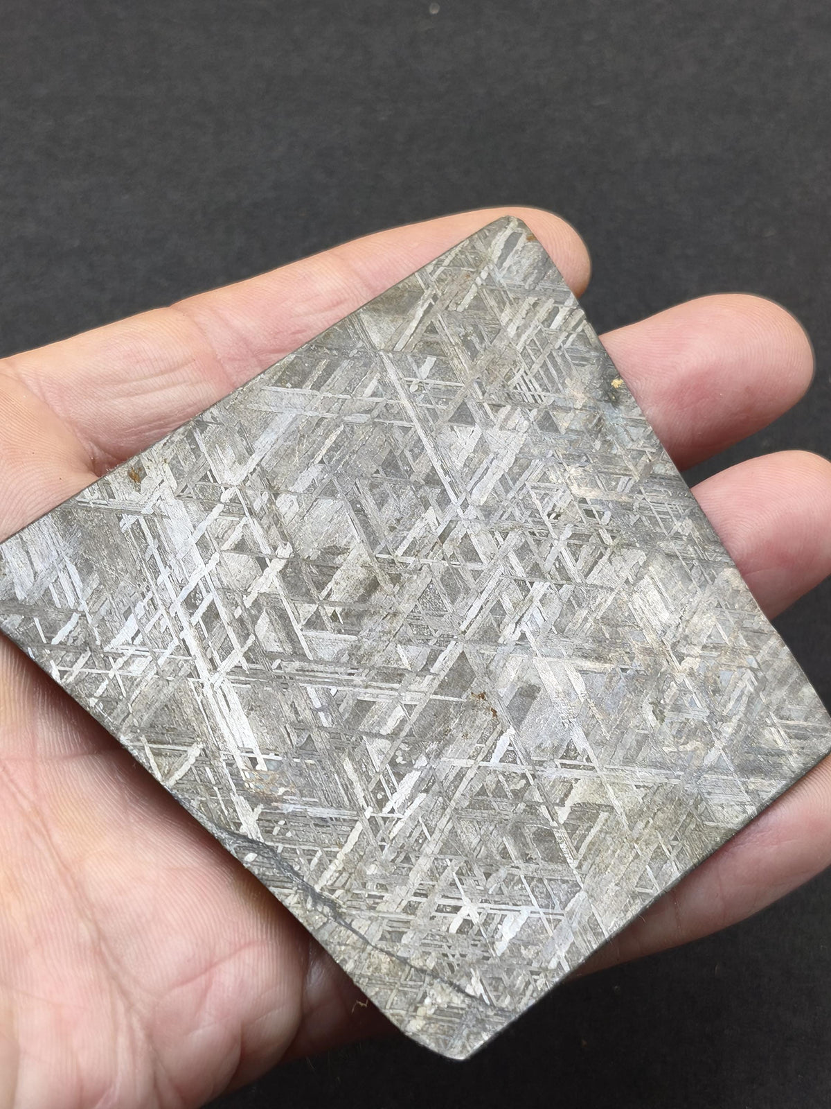 XL Muonionalusta Meteorit – Große Eisenmeteoriten-Scheibe aus Schweden | 34,5 g Sammler Selten Geschenk