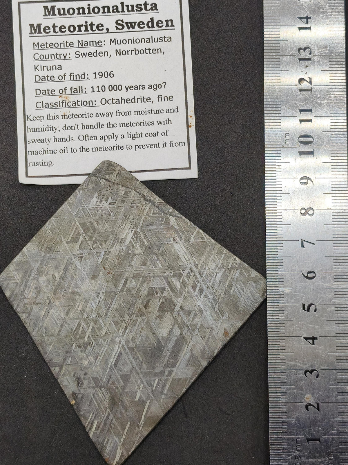 XL Muonionalusta Meteorit – Große Eisenmeteoriten-Scheibe aus Schweden | 34,5 g Sammler Selten Geschenk
