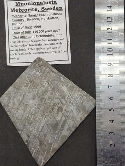 XL Muonionalusta Meteorit – Große Eisenmeteoriten-Scheibe aus Schweden | 34,5 g Sammler Selten Geschenk