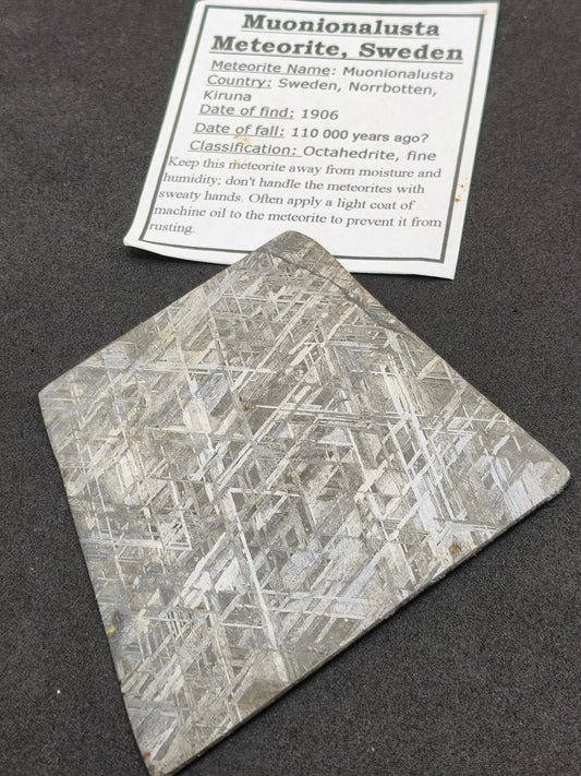 XL Muonionalusta Meteorit – Große Eisenmeteoriten-Scheibe aus Schweden | 34,5 g Sammler Selten Geschenk