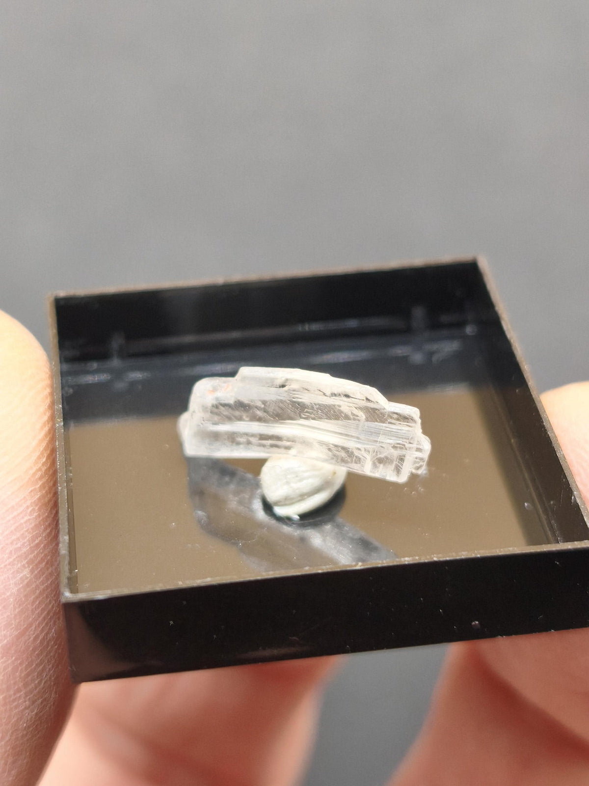 Leiteit Kristall 17 mm aus Tsumeb Namibia | Seltenes Mineral | Historische Sammlung vor 1972 Kristall Sammler roh Stufe Edelstein Rarität