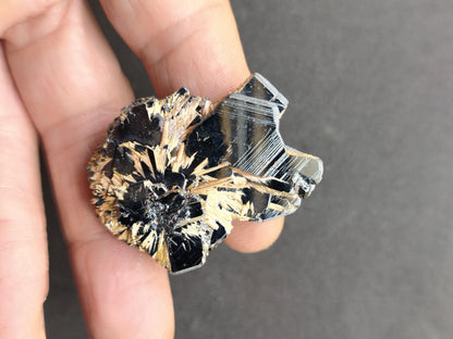 Rutil Hämatit Kristall Stufe 42 mm Brasilien AAA | Goldene Rutilsterne auf schwarzem Hämatit | Natürliche Edelsteine Sammler Mineralien Deko