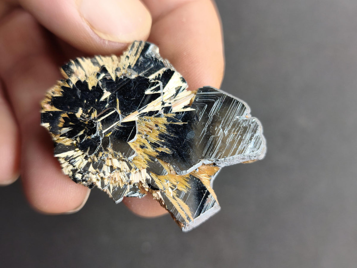 Rutil Hämatit Kristall Stufe 42 mm Brasilien AAA | Goldene Rutilsterne auf schwarzem Hämatit | Natürliche Edelsteine Sammler Mineralien Deko