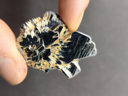Rutil Hämatit Kristall Stufe 42 mm Brasilien AAA | Goldene Rutilsterne auf schwarzem Hämatit | Natürliche Edelsteine Sammler Mineralien Deko