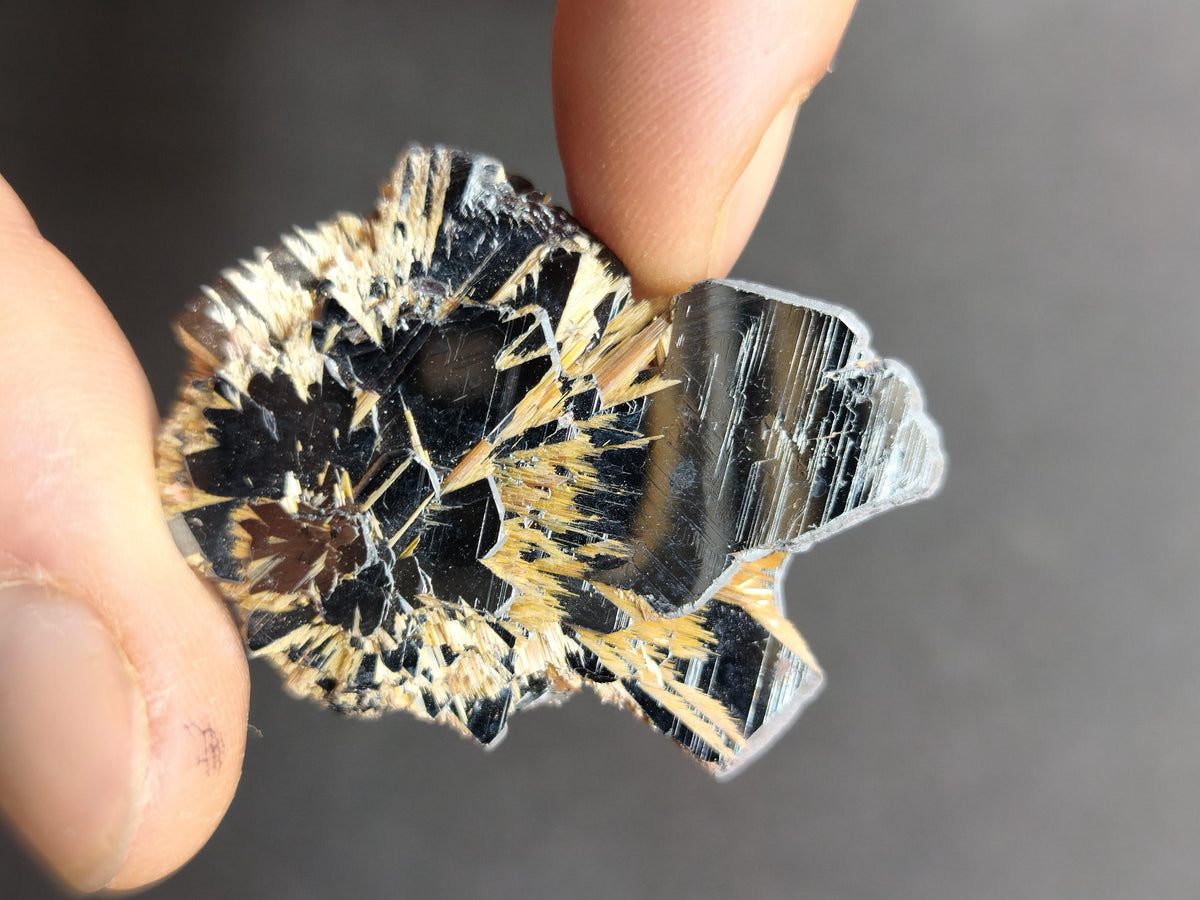 Rutil Hämatit Kristall Stufe 42 mm Brasilien AAA | Goldene Rutilsterne auf schwarzem Hämatit | Natürliche Edelsteine Sammler Mineralien Deko