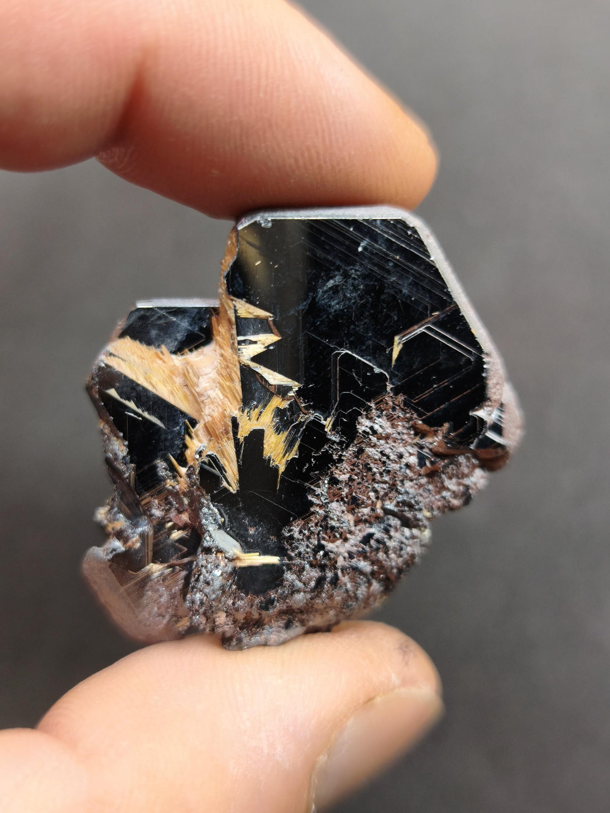 Rutil Hämatit Kristall Stufe 35 mm Brasilien AAA | Goldene Rutilsterne auf schwarzem Hämatit | Natürliche Edelsteine Sammler Mineralien Deko