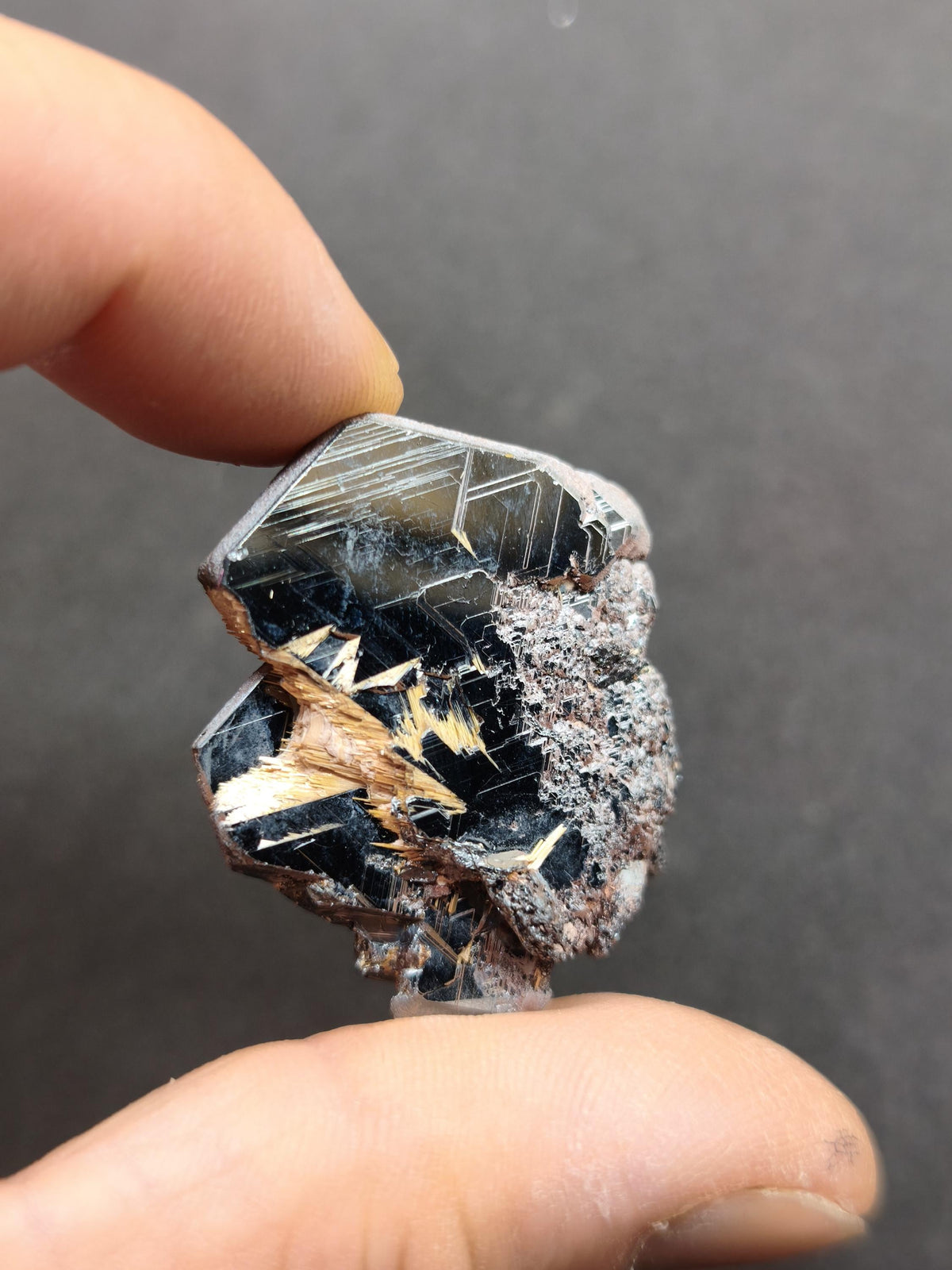 Rutil Hämatit Kristall Stufe 35 mm Brasilien AAA | Goldene Rutilsterne auf schwarzem Hämatit | Natürliche Edelsteine Sammler Mineralien Deko
