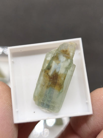 Grüner Cyanit Kristall 25–28 mm | Natürlicher Kyanit Rohstein | Disthen | Mineraliem Stufe Kristall Sammler roh Kristall Edelstein Deko
