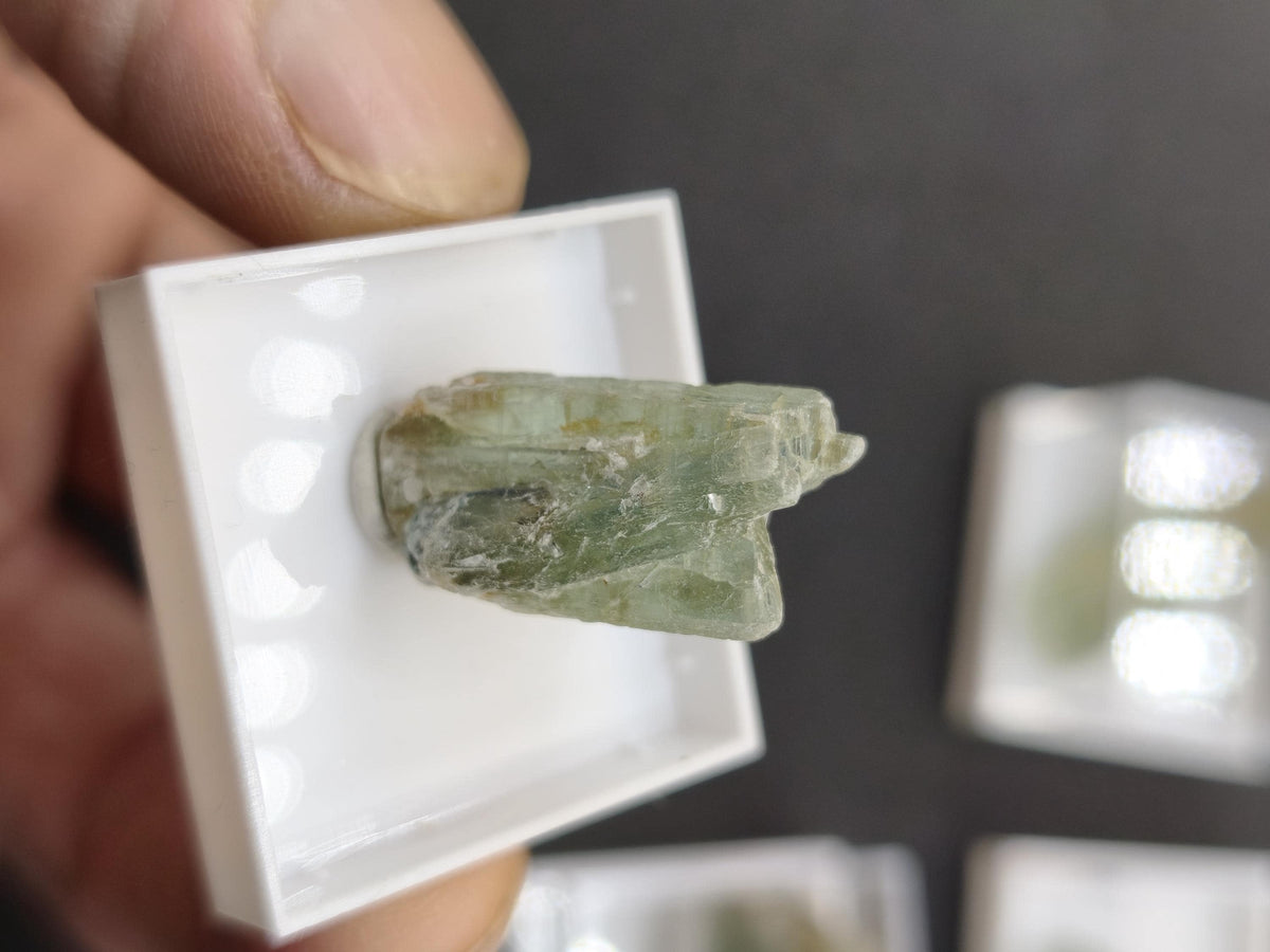 Grüner Cyanit Kristall 25–28 mm | Natürlicher Kyanit Rohstein | Disthen | Mineraliem Stufe Kristall Sammler roh Kristall Edelstein Deko