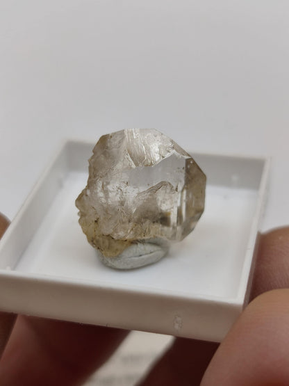 12ct Phenakit Kristall aus Namibia | Stiepelmann Mine Erongo | Klarer natürlicher Rohkristall | Seltenes Sammler Mineral Heilstein Rarität