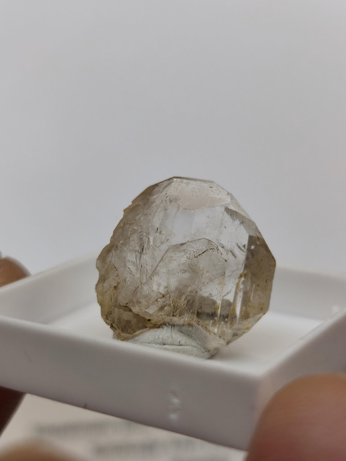 12ct Phenakit Kristall aus Namibia | Stiepelmann Mine Erongo | Klarer natürlicher Rohkristall | Seltenes Sammler Mineral Heilstein Rarität
